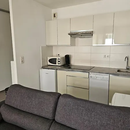 Grand Climatise Apartment *