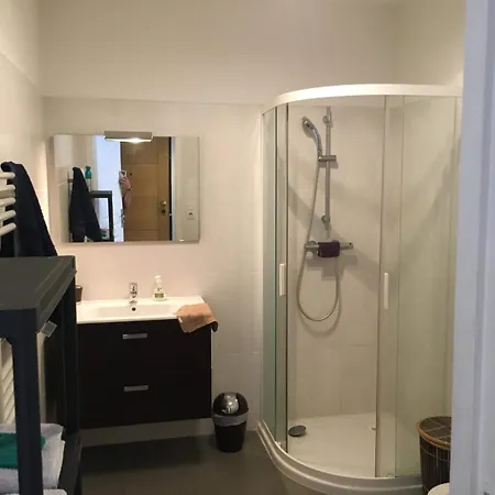 Grand Climatise Apartment Ajaccio (Corsica)
